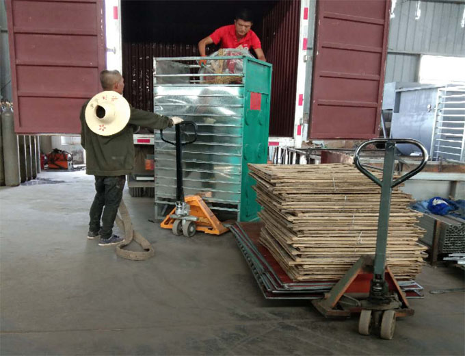 食用菌采收技能你知道多少？逸村機(jī)械為您盤點整合